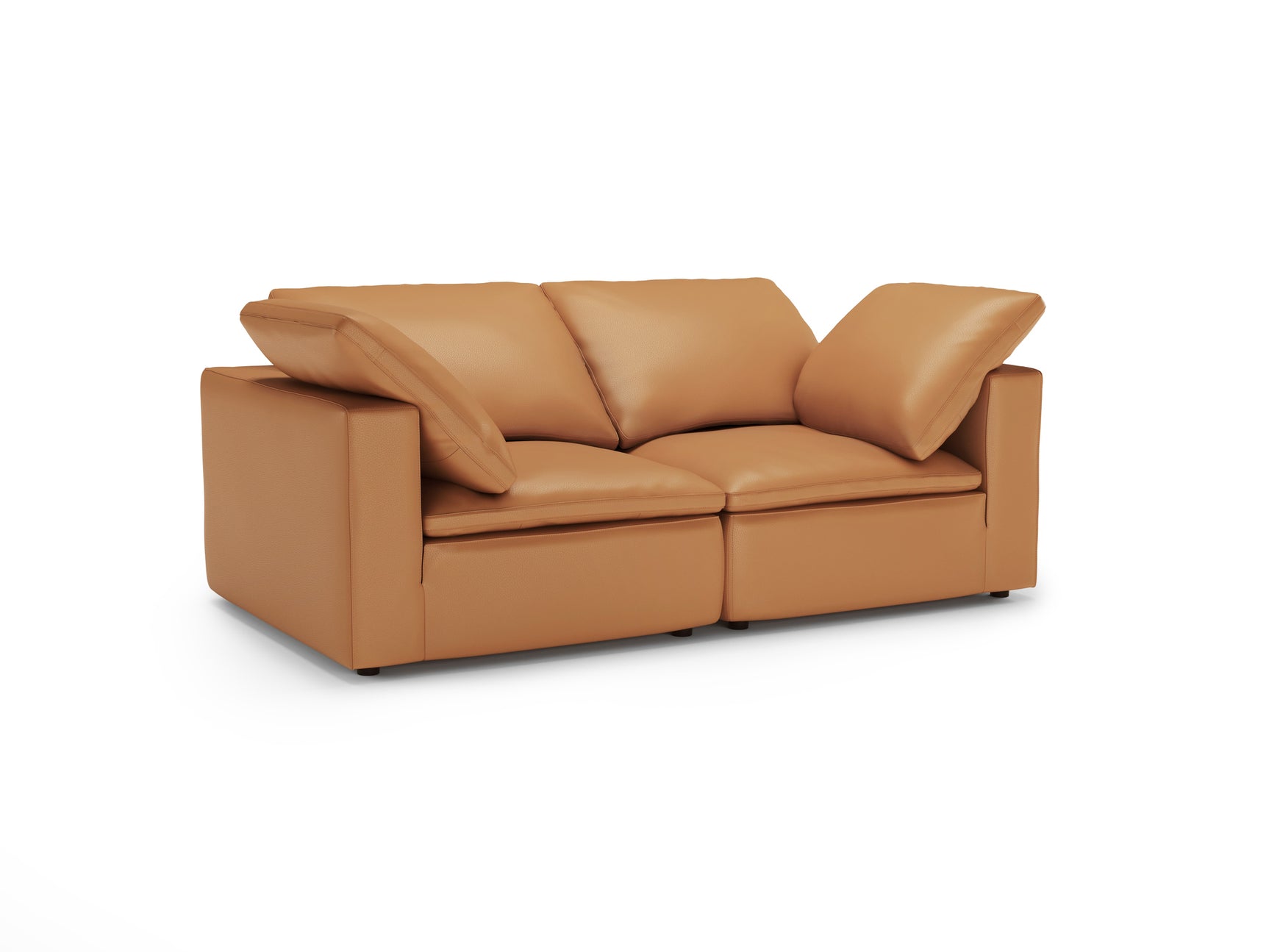 Claire Leather Modular Lounge