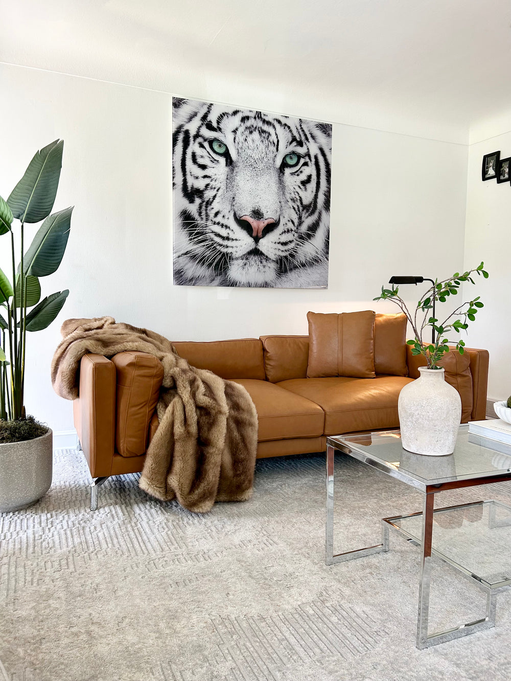 Zadar Leather Lounge