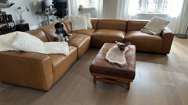 Nathan Leather Modular Corner Sectional Lounge
