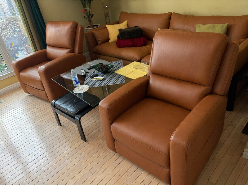 Hector Leather Power Lift Recliner Chair with Heat & Massage